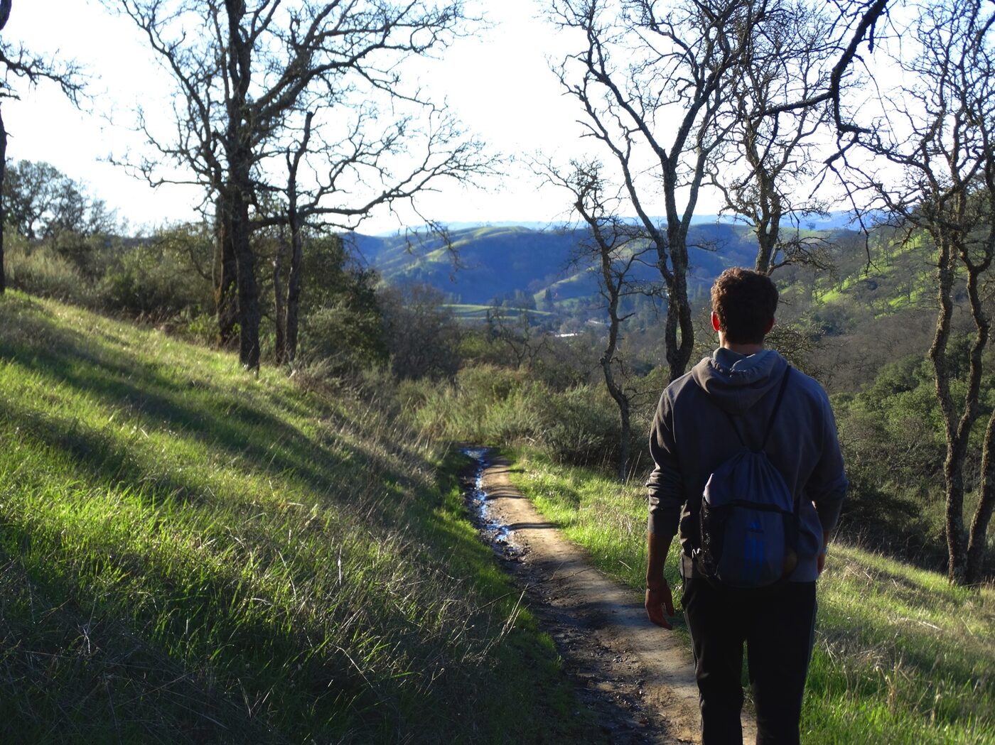 Walking a trail through California oak woodland